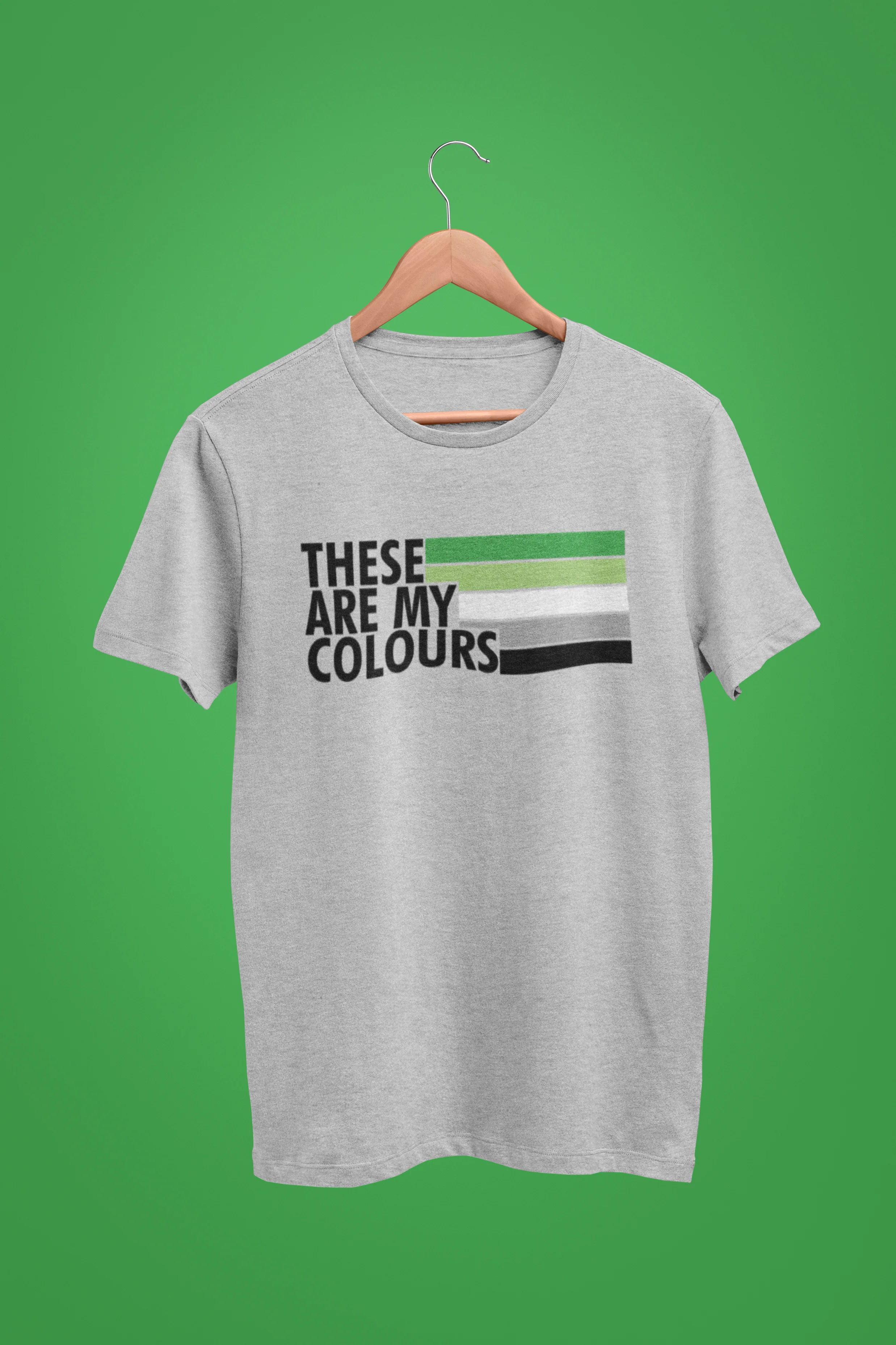 Aromantic Pride Shirt - These Are My Colours - Image 2