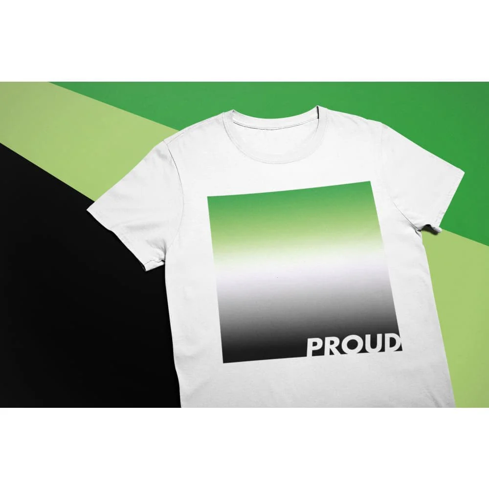 Proud Aromantic T Shirt - Image 2